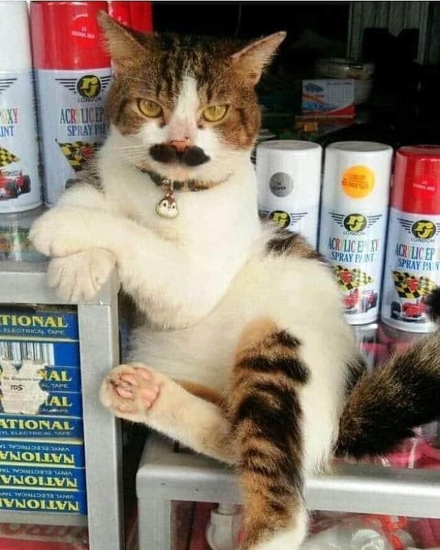 Rumah Sekring Tancap Besar Grade A Tempat Skring