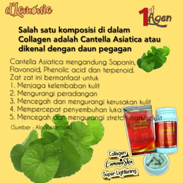 Collagen LemonieSkin