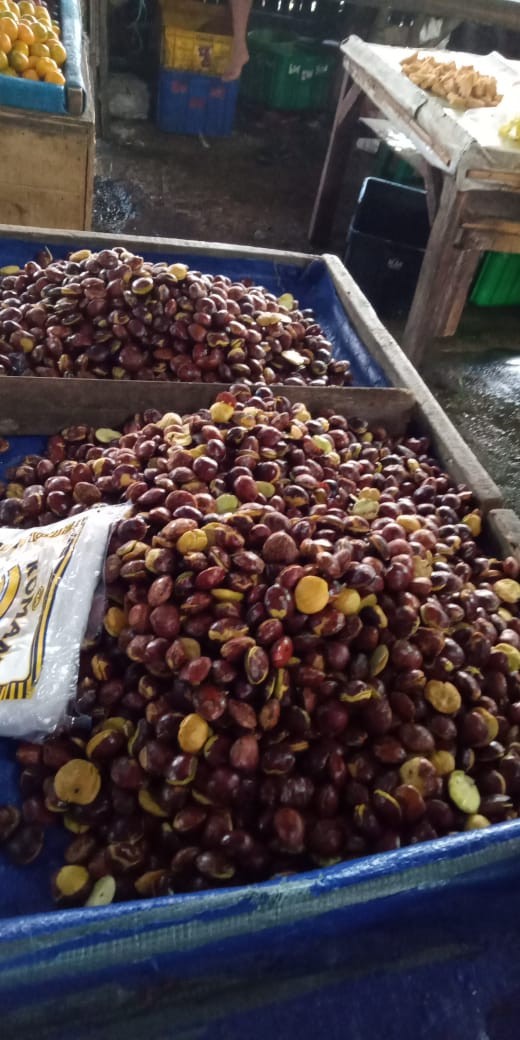 Payung Tenda Besar Tutup Besi  Diameter 260cm  Kuat