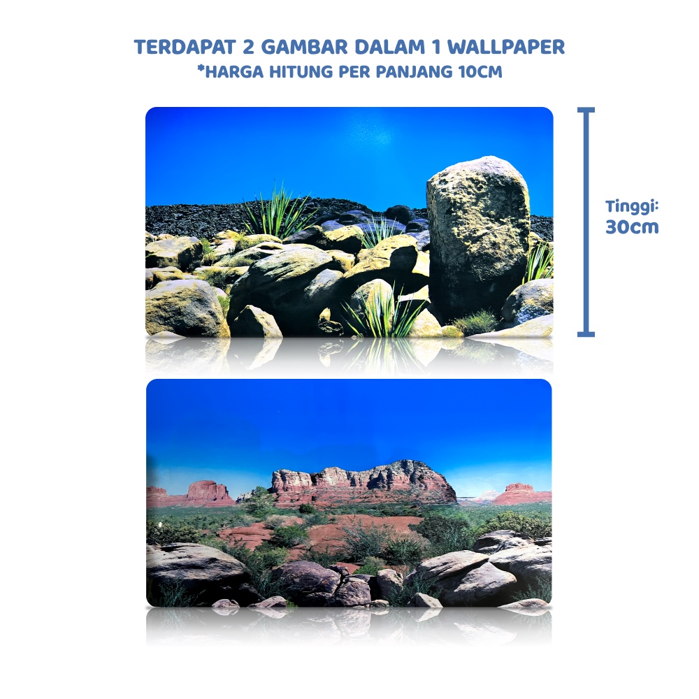 Gambar Aquarium Background Hiasan Aquarium Wallpaper Belakang Aquarium Dekorasi Aquarium T 30cm Per 