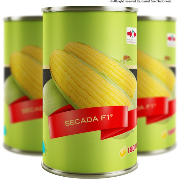Benih Bibit JAGUNG MANIS SECADA F1 @ 1.800 Biji - Cap Panah Merah