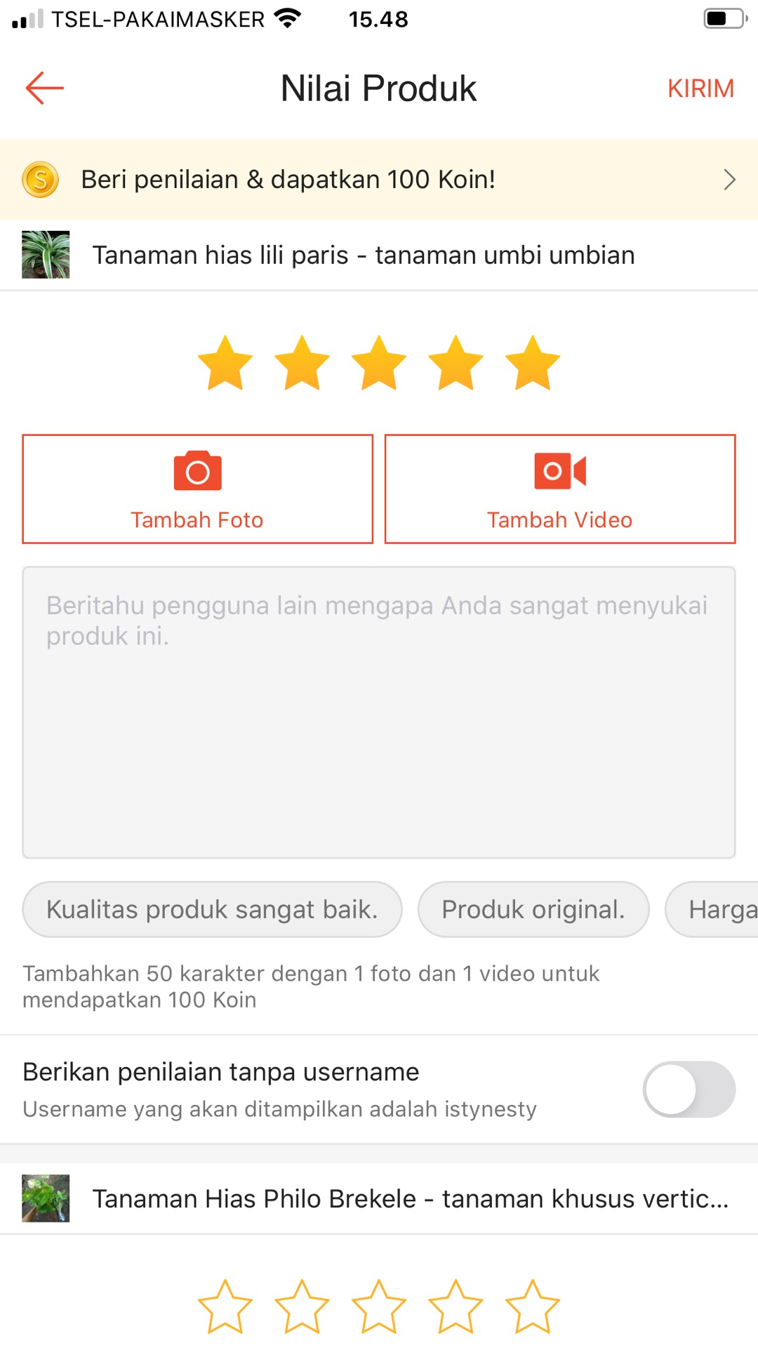 Tanaman Hias Lili Paris - Tanaman Umbi Umbian