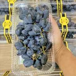 BUAH KITA Anggur Hitam China Tanpa Biji Import