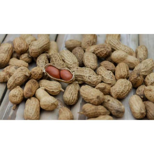 

Kacang kulit tanah