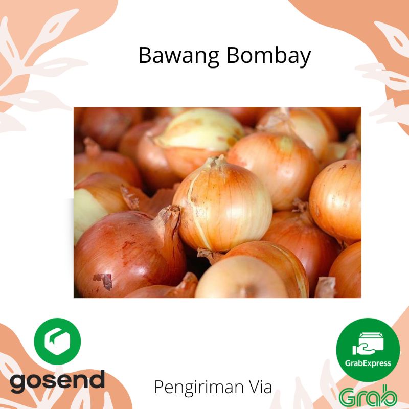 

BAWANG BOMBAY SEGAR FRESH