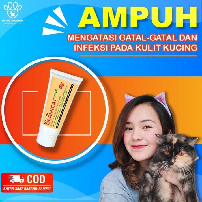 DC2] AMPUH SALEP OBAT KUCING ATASI PENYAKIT KULIT GATAL JAMUR 