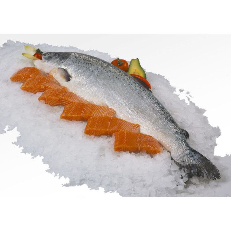 

ikan salmon fillet 250 gram norwegian