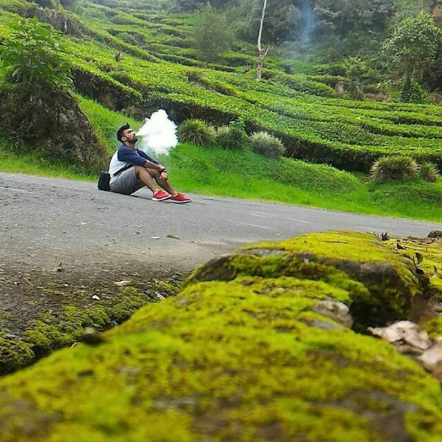 fizaerha