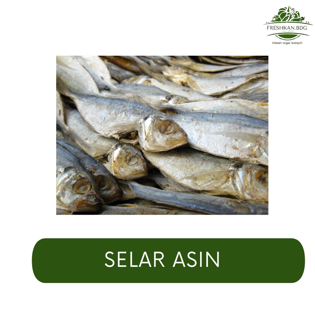 

IKAN SELAR ASIN