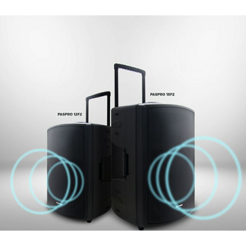 BIG SALE      PROFESSIONAL ACTIVE SPEAKER POLYTRON PASPRO15F2/PASPRO 15F2