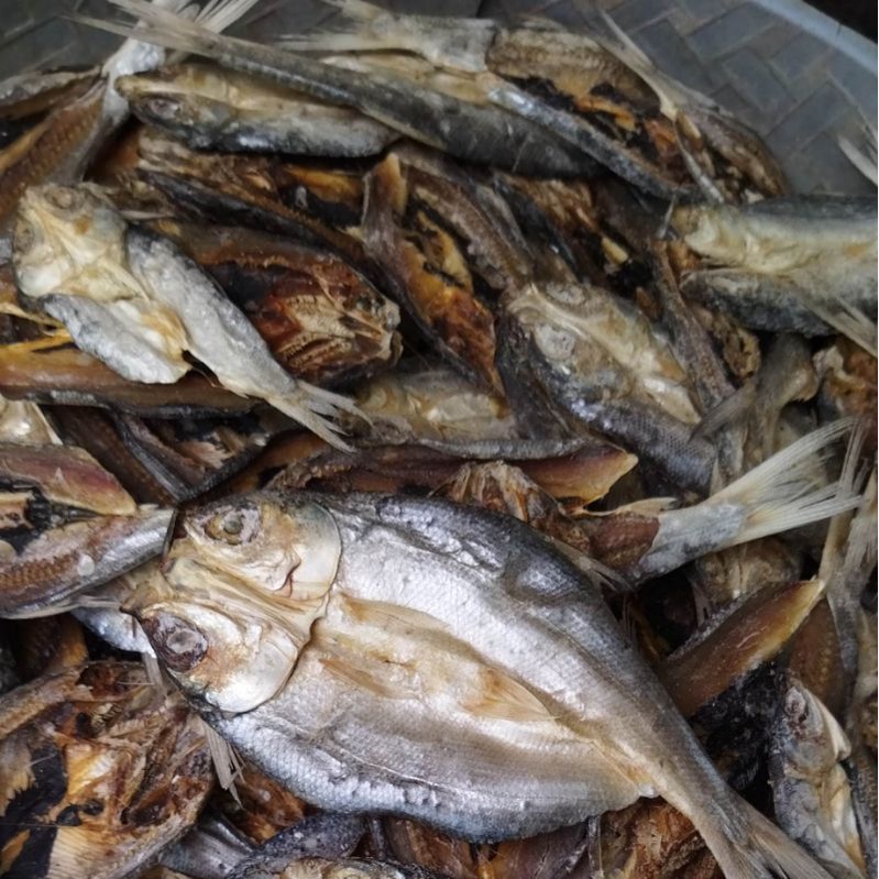 

Ikan Asin Bandeng Kering