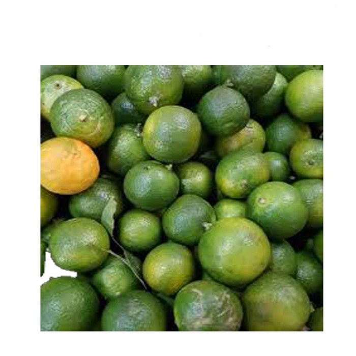 

Buah Jeruk Kietna (900g-1kg)