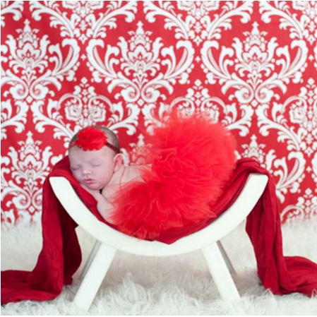 Newborn Photography Properties - Red Tutu Skirt Costume