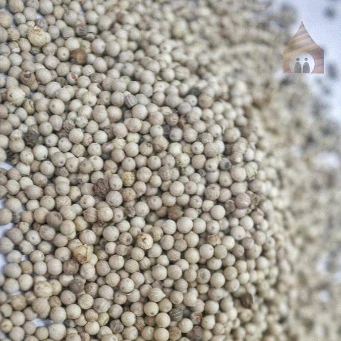 

Merica / sahang / lada butir putih bangka belitung grade A 500g