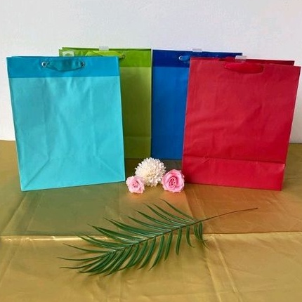 

Paper Bag Polos Warna Kantong Kertas Polos Warna Goodie Bag Hampers Lux Large
