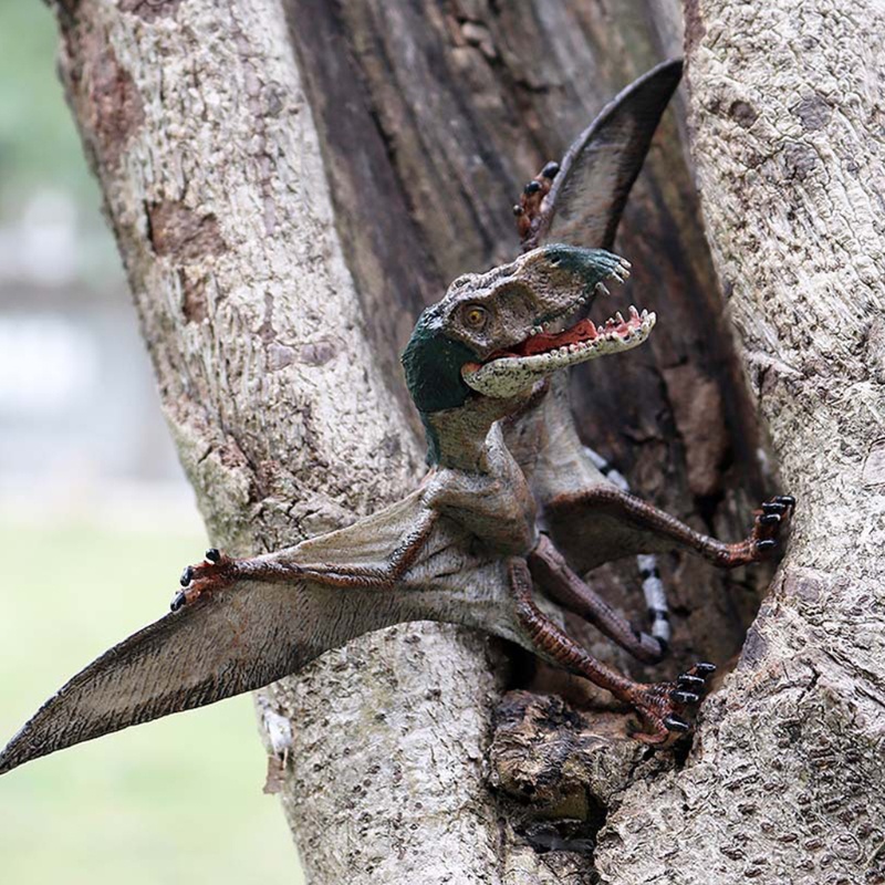 Mary 1PC Mainan Dinosaurus Indah Koleksi Pterosauria Hadiah Kejutan Untuk Anak