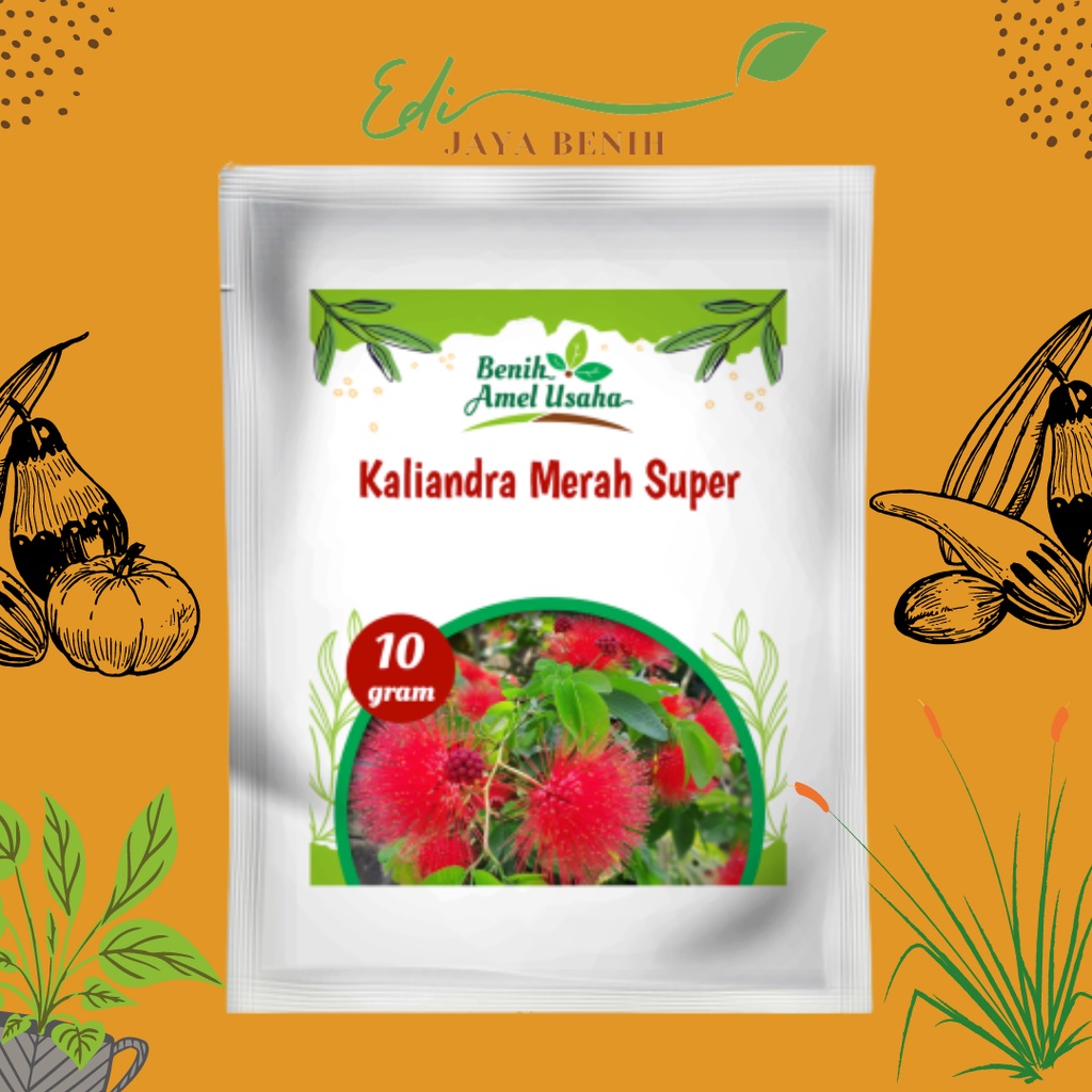 Benih kaliandra merah 10 gr / benih kaliandra merah pagoda / bibit benih kaliandra pakan ternak
