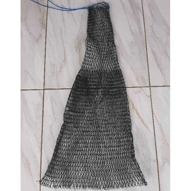 Koja ikan korang ikan koja pangrod tempat ikan korang tambang koja tambang