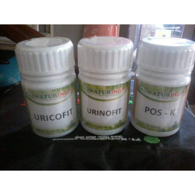 Obat herbal pt.naturindo fresh