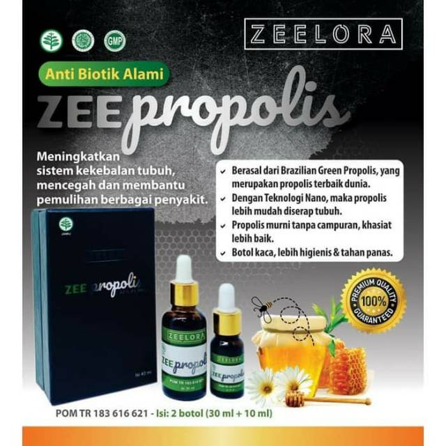 PROPOLIS ZEELORA ORI - PER KOTAK