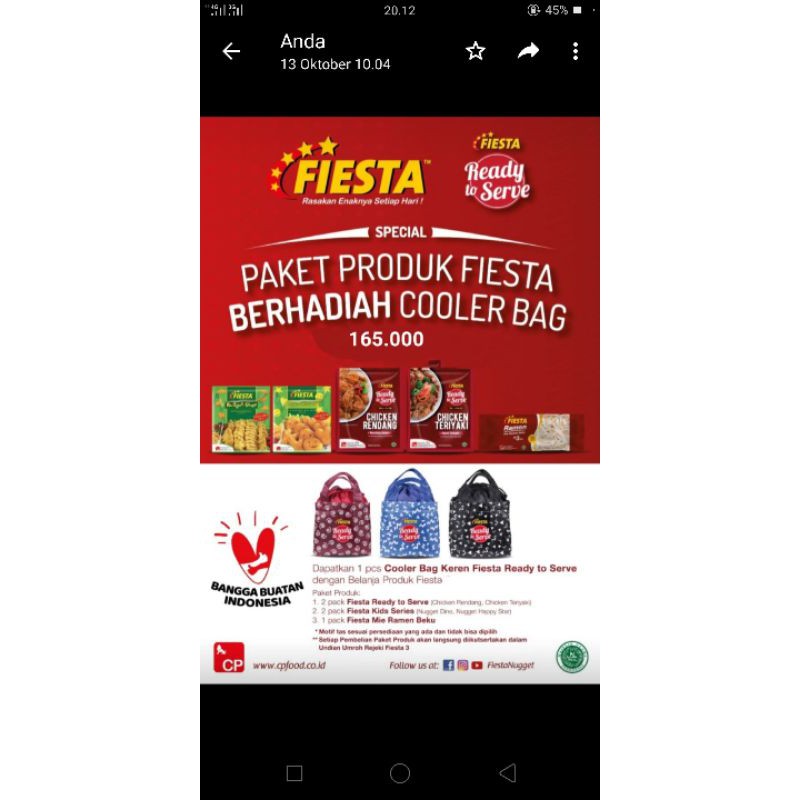 

paket promo fiesta