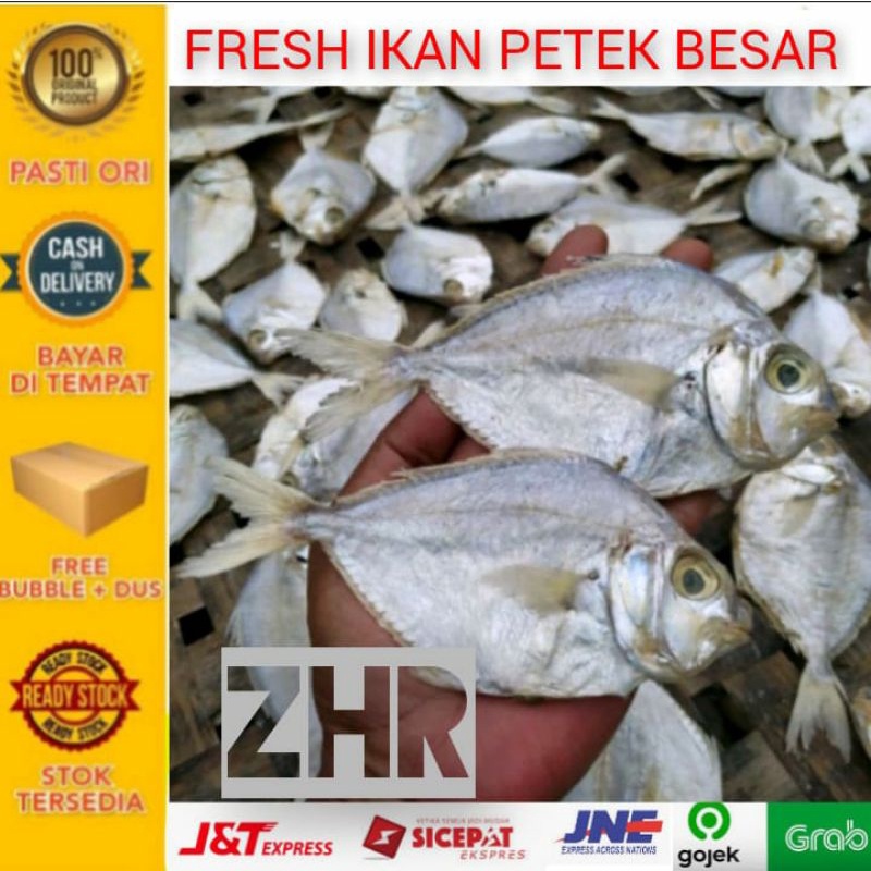 

Ikan asin petek besar 1kg - - ZHR