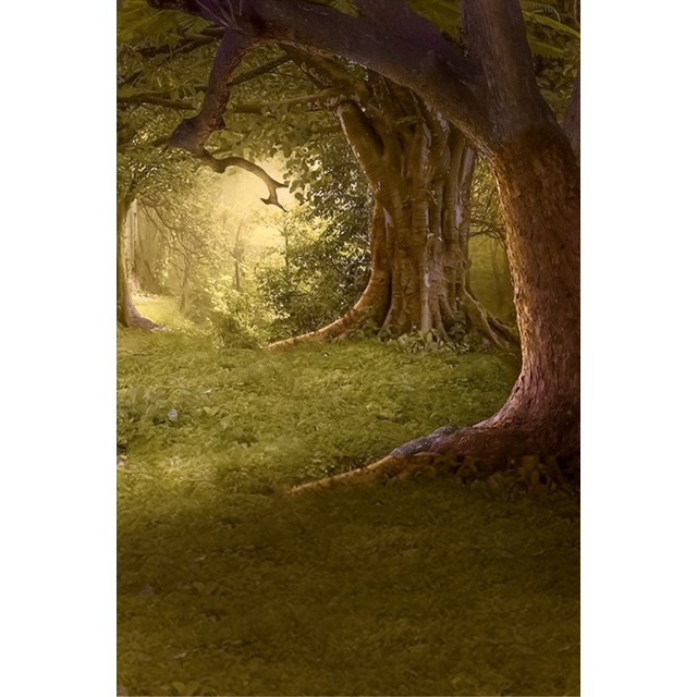 Background Pohon 3x2 5 Cocok Untuk Fotografi Shopee Indonesia