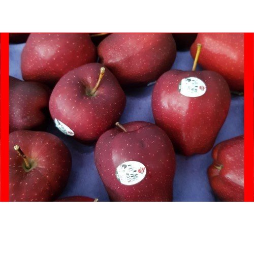 

Apel Merah 1Kg / American Apple | Pasar Induk Pekanbaru #Harga_Grosir