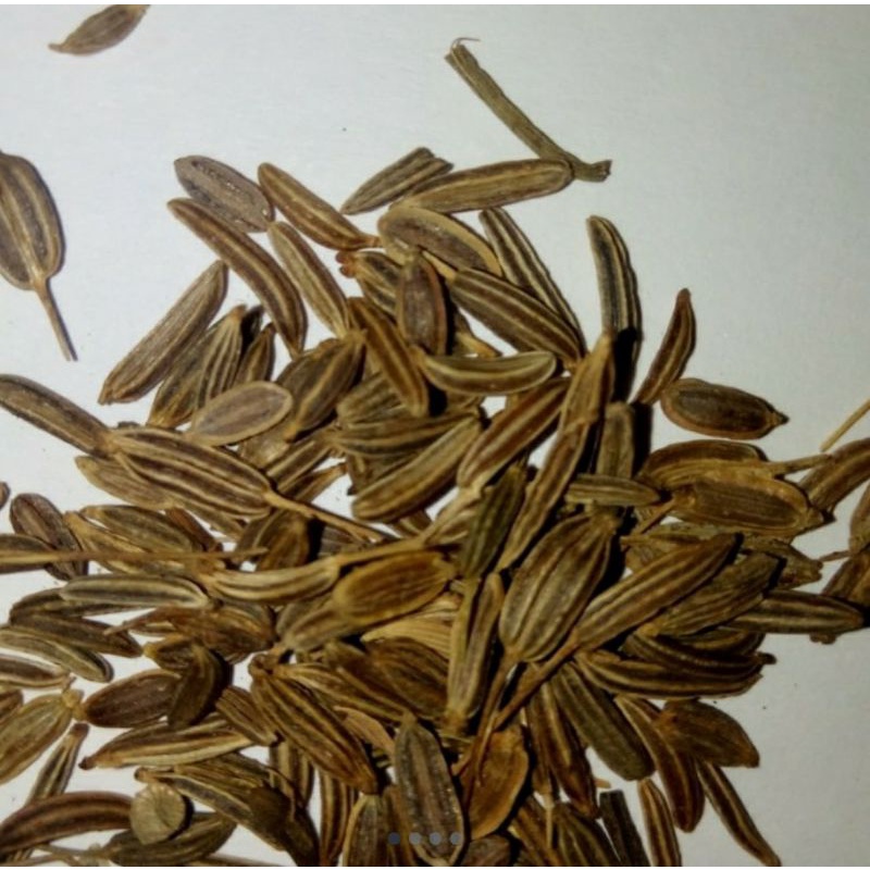 

Biji jintan utuh/jinten/cumin seed 100gram.