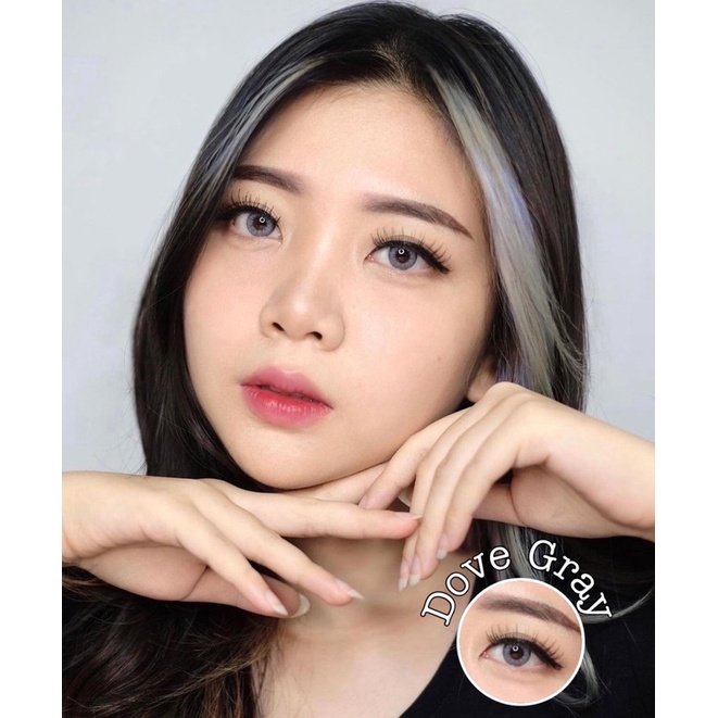 DREAMCOLORLENS Softlens - Dove Gray / Grey / Abu Normal Minus