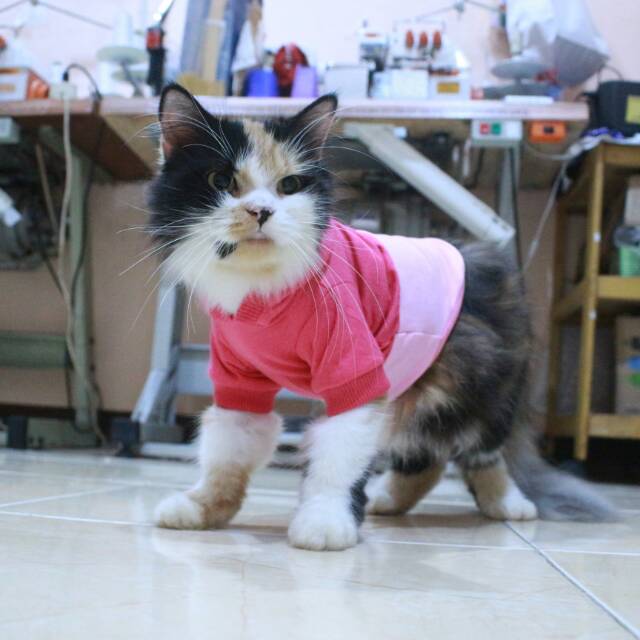 Kaos hoodie pink half toska lucu untuk kucing dan anjing size S M L XL