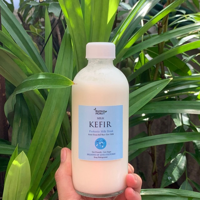 

Milk Kefir