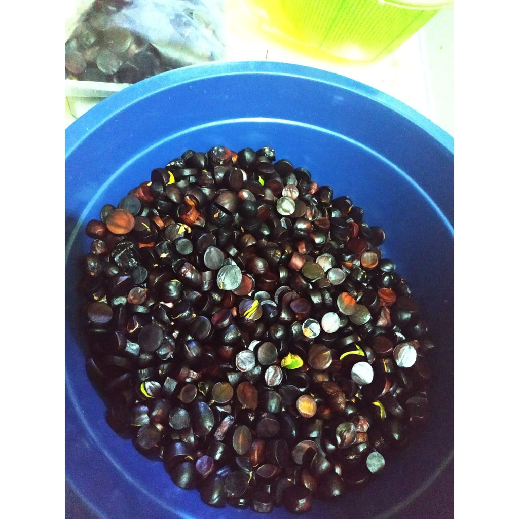 Lalap Lalapan Buah Kabau Jaling Kuwau Sejenis dengan Jengko Pete jamin tua