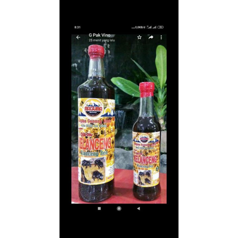 

Madu Tawon kelanceng