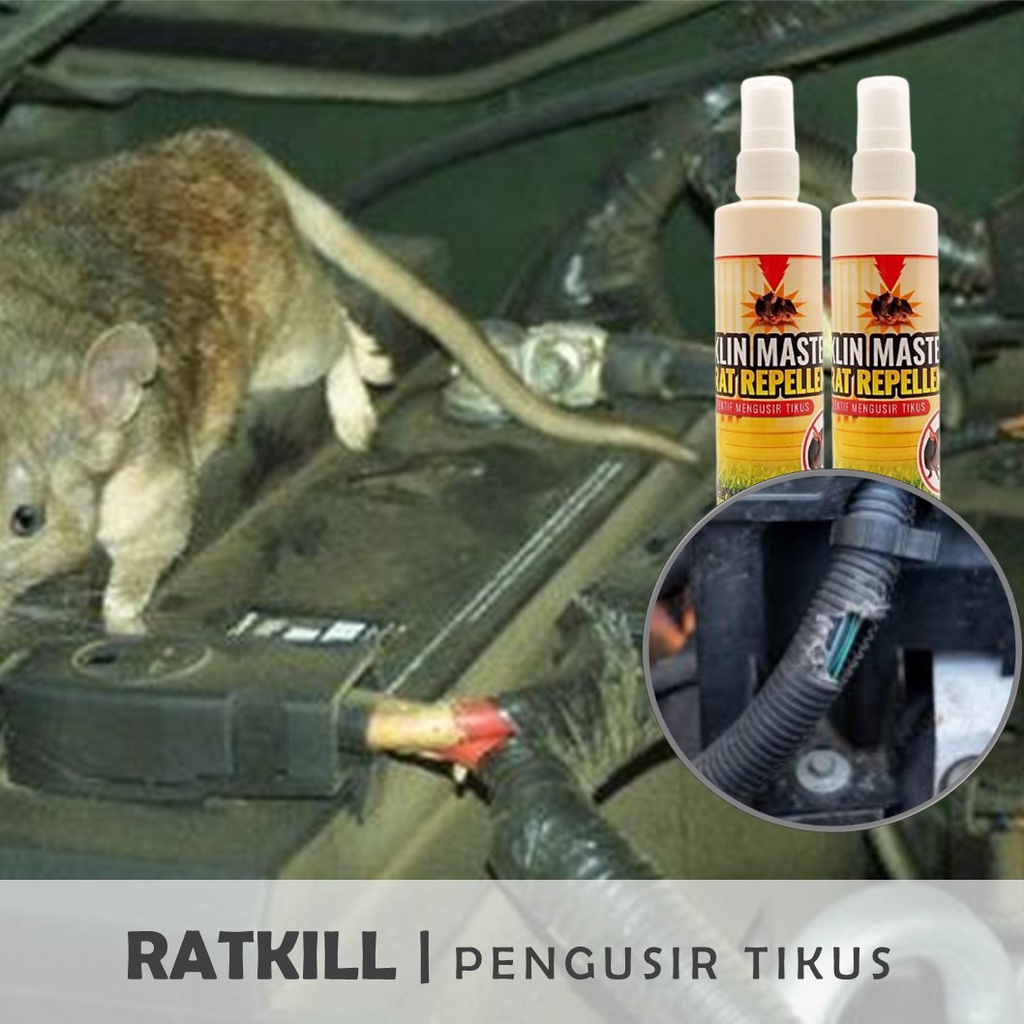 KLIN MASTER PENGUSIR TIKUS ORIGINAL KILL RAT