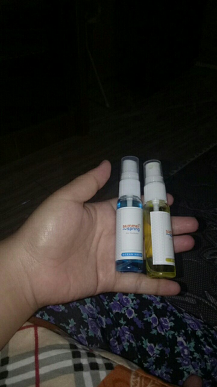 Pengharum Ruangan Parfum Toilet Mobil Ruang Tamu Kamar Hotel 30ml
