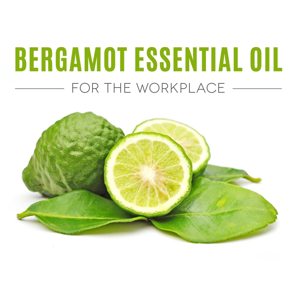 Bergamot Essential Oil 10 ml / Minyak Atsiri Jeruk Bergamot / Citrus bergamia