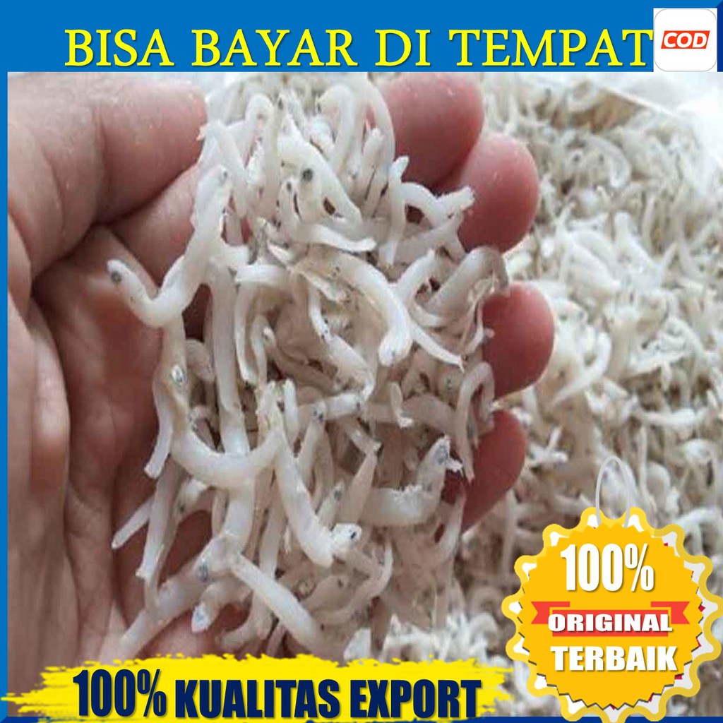 

BISA BAYAR DI TEMPAT IKAN ASIN TRINASI TERI NASI3