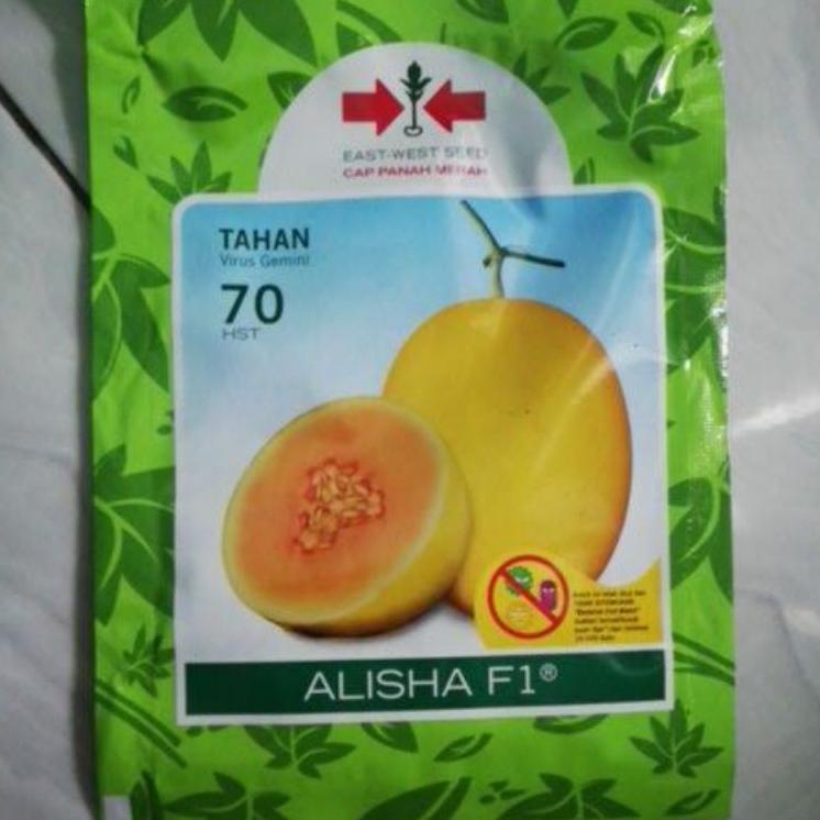 Dijamin Miring harga.. Benih Melon Golden Alisha 400 Butir