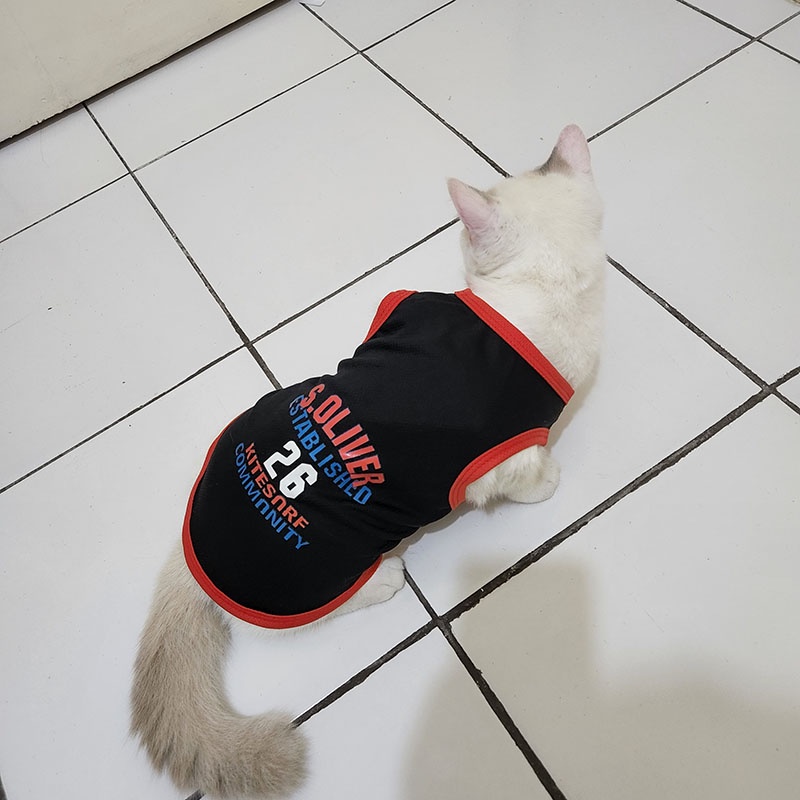 (COD) ready Baju Kucing Kaos Hewan Singlet Motif Garis Hewan Murah pencetakan