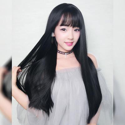 Wig Full Lace Rambut Palsu Lurus Panjang Hair Extension Model Long Straight High Quality Import