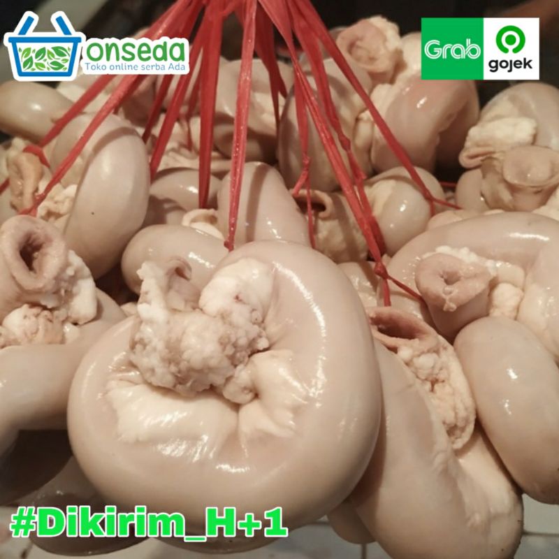 

Tamusu / Usus Sapi Sudah di Rebus 500gr