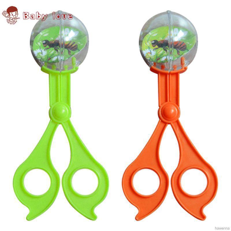 insect catcher toy
