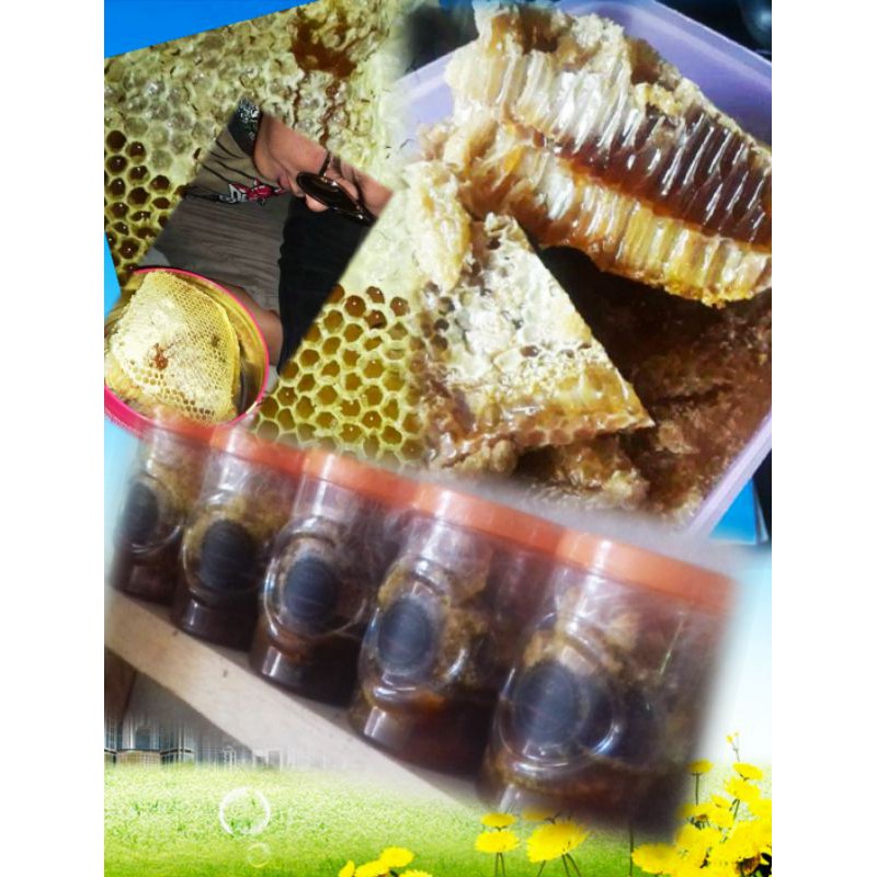 MADU HUTAN ASLI/MADU ODENG LIAR/MASIH ADA SARANGNYA 1 KG