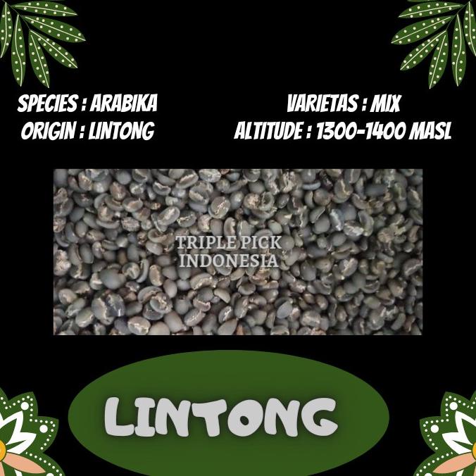 

green bean / Biji kopi arabika lintong - wethull