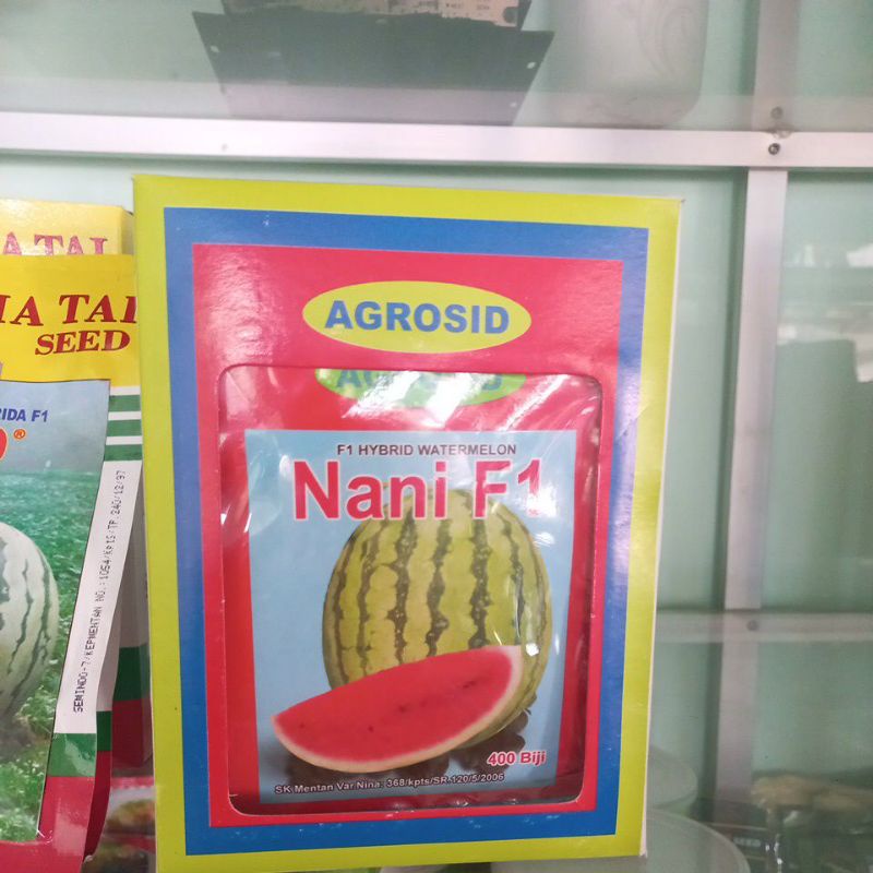 benih semangka nani f1