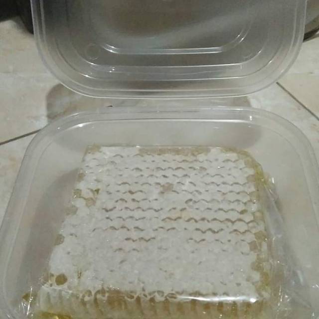 

Madu sarang Asli 100%