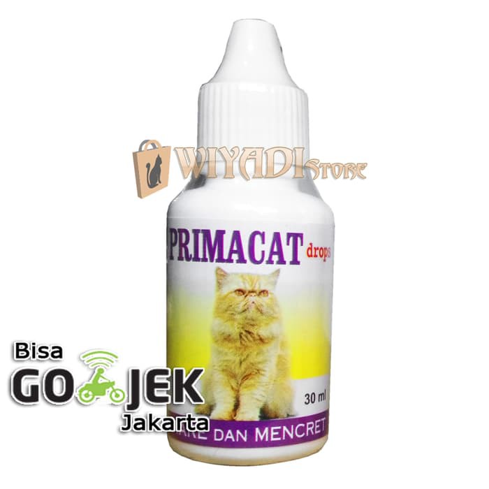 Obat Kucing Obat Kembung Kucing Obat Sakit Perut Kucing Mengatasi Kembung Pada Kucing Meredakan Diare Mencret Kucing Rebung Cat Kemasan Tetes 30ml Abizar Pet Shop Lazada Indonesia