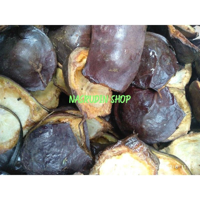 

JUAL KULIT JENGKOL / KULIT BUAH JENGKOL SEGAR / OBAT HERBAL