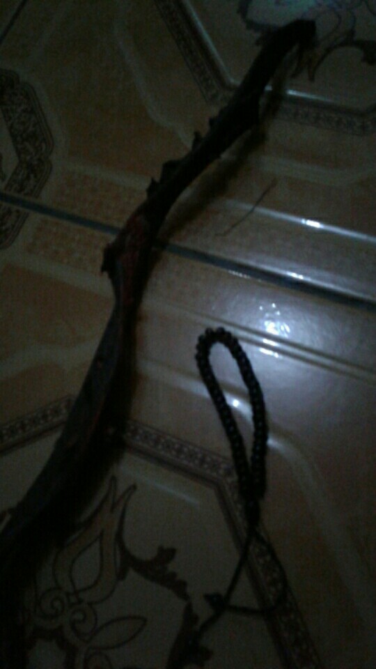 Bahan Akar Bahar Merah (24-29) Cm